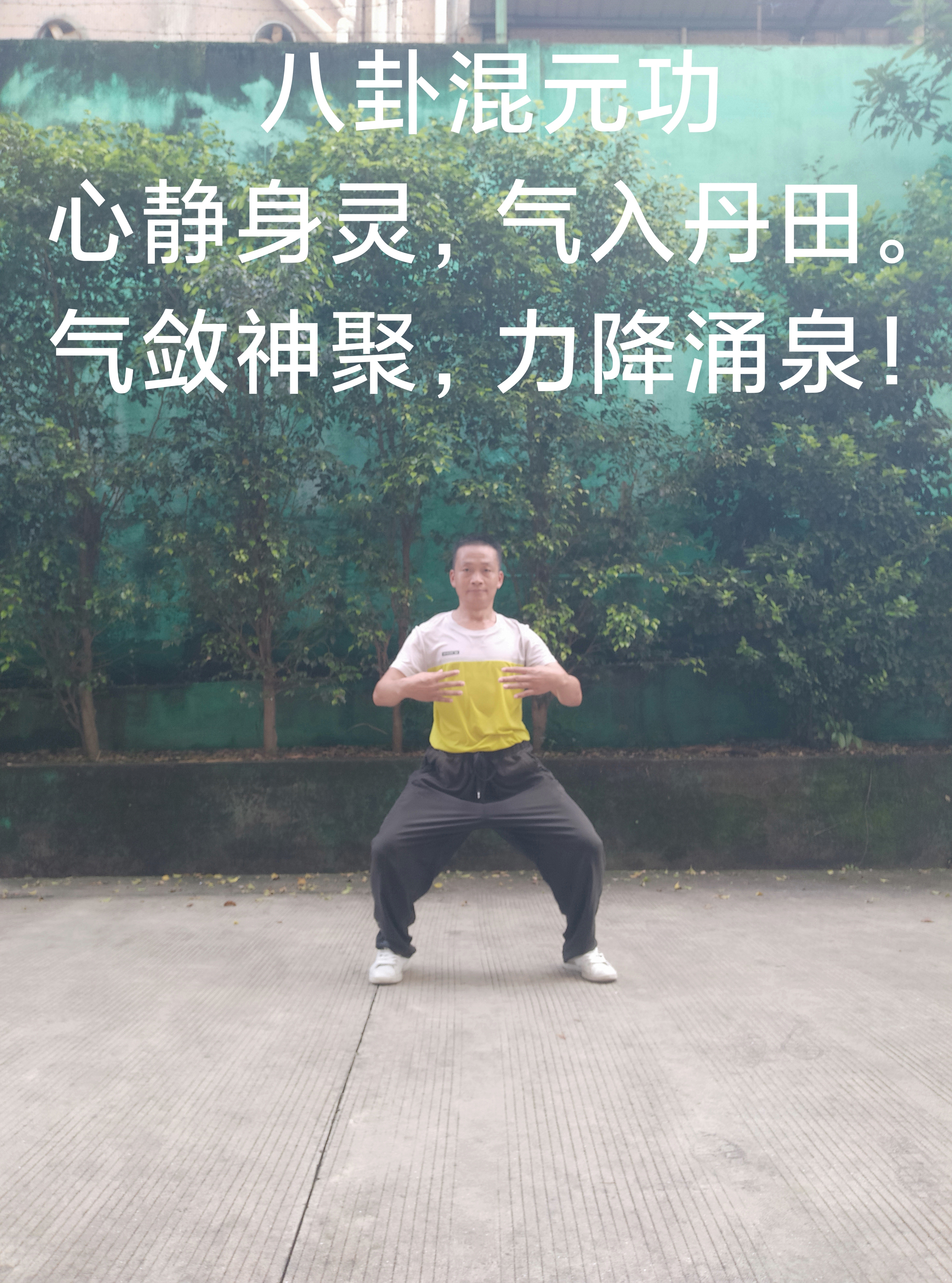 Tai Chi Qigong (Tai Chi Qigong Baduanjin password complete set)